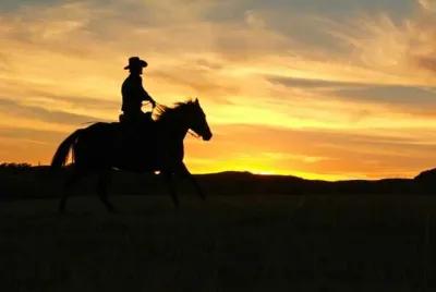 Cowboy poster1