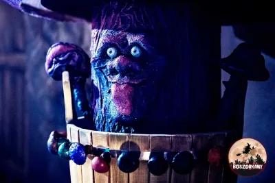 The Witch poster4