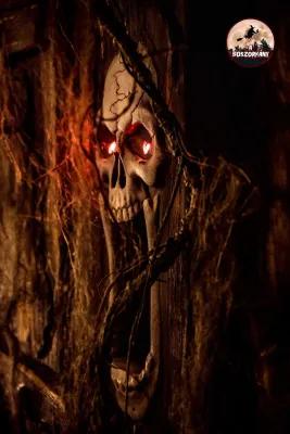 The Witch poster5