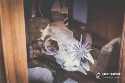 Hunting Lodge poster5